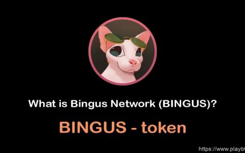 什么是Bingus Network（Bingus）代币？