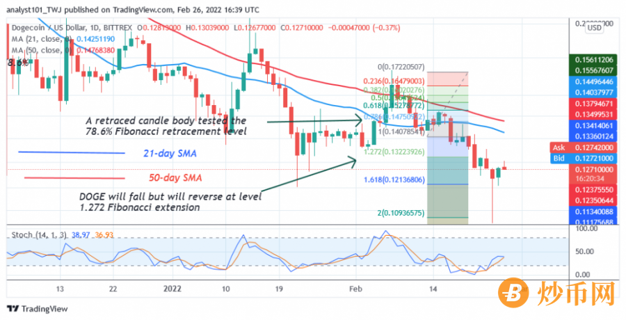 DOGEUSD(Daily_Chart_2)_-_FEB.26.png