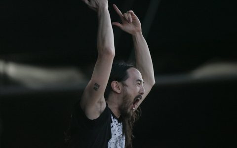 Steve Aoki 购买了 Moonbirds NFT，但他是否发起了诅咒？