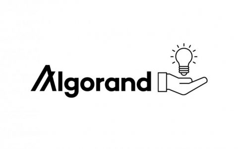 Algorand 有解决流动性问题的方案