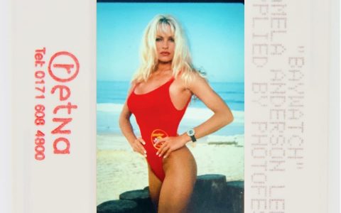 OneOf 与帕梅拉·安德森 (Pamela Anderson) 数字收藏品一起重现 90 年代的标志性时刻