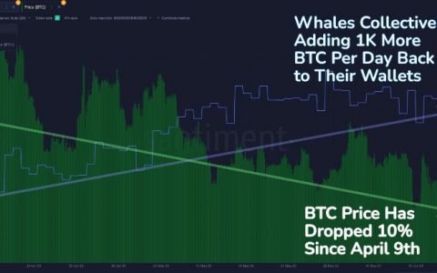 比特币鲸鱼在加密货币市场低迷中增加了 57,578 BTC