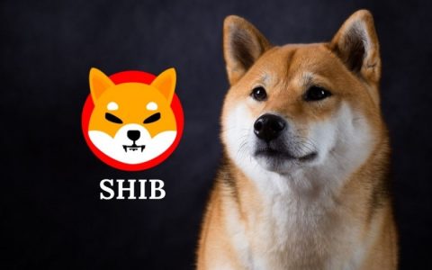 Shiba Inu 的网络活动变慢，而代币销毁速度加快