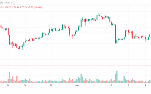 价格未能突破关键障碍后 LTC 投资者撤退