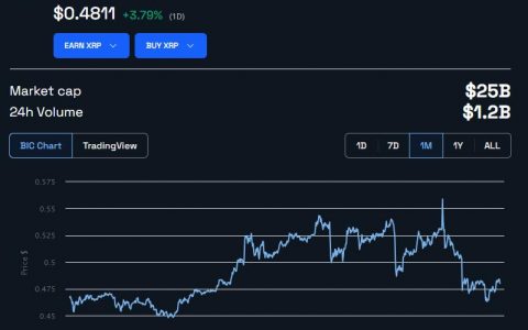 Ripple 首席执行官布拉德·加林豪斯 (Brad Garlinghouse) 就 Hinman 文件向 SEC 提出质疑