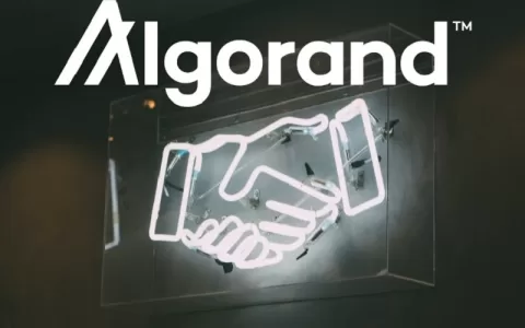 美国证券交易委员会提起诉讼后，Algorand 和 Flow 价格跌至历史最低点