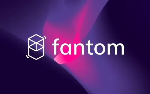 Fantom 基金会发表讲话，安抚 FTM 持有者和投资者