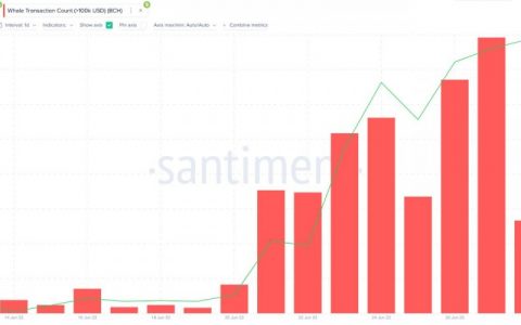 6 月份利润 140% 后，比特币现金 (BCH) 下一步将何去何从？