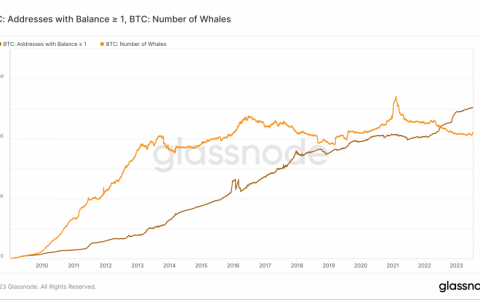 亚洲先行者：持有 1 比特币的个人钱包创下历史新高，BTC维持在 3 万美元