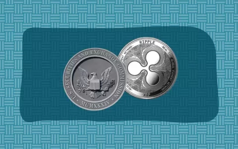 XRP 律师批评 SEC 双重标准