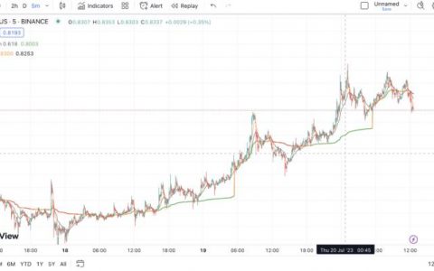 什么是 VWAP 指标以及如何使用它进行加密货币交易？