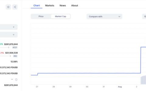 Tether 首席技术官质疑新晋稳定币：FDUSD 是否已成为焦点？