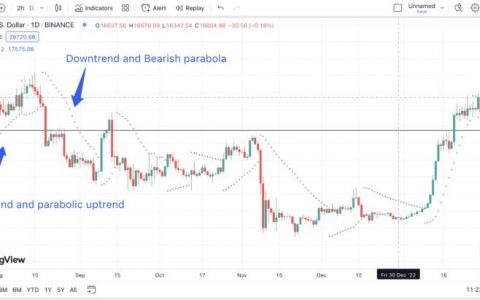 深入探讨加密货币交易的抛物线转向指标