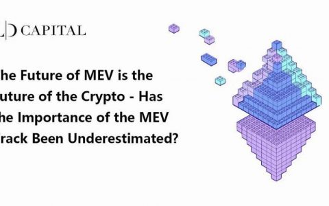 MEV 的未来就是加密货币的未来 — MEV 赛道的重要性……