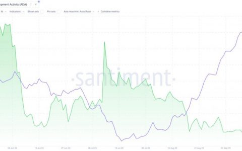 Cardano（ADA）在加密货币开发活动中名列前茅