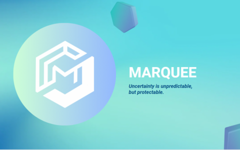 Marquee保险引领RWA浪潮：构建新一代链上保险体系