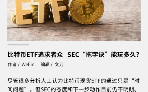 比特币 ETF 追求者众 SEC“拖字诀” 能玩多久？