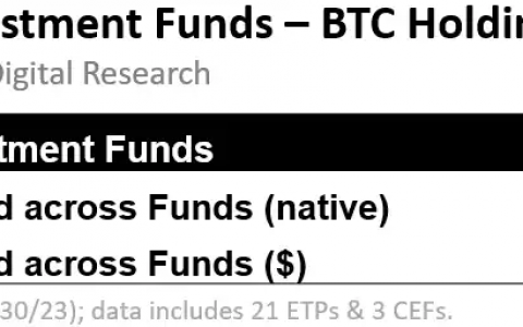 揭露比特币现货 ETF 的魅力：投资新景象与市场反应