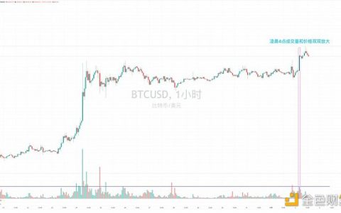 币市最大的赢家？ MicroStrategy的多元化投资