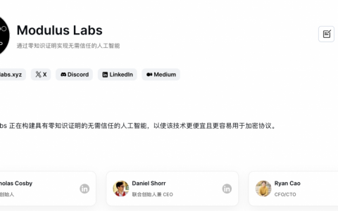 速览Modulus：利用ZKML，构建链上人工智能