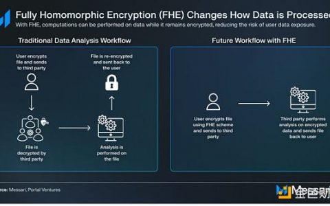 Messari：全同态加密项目速览